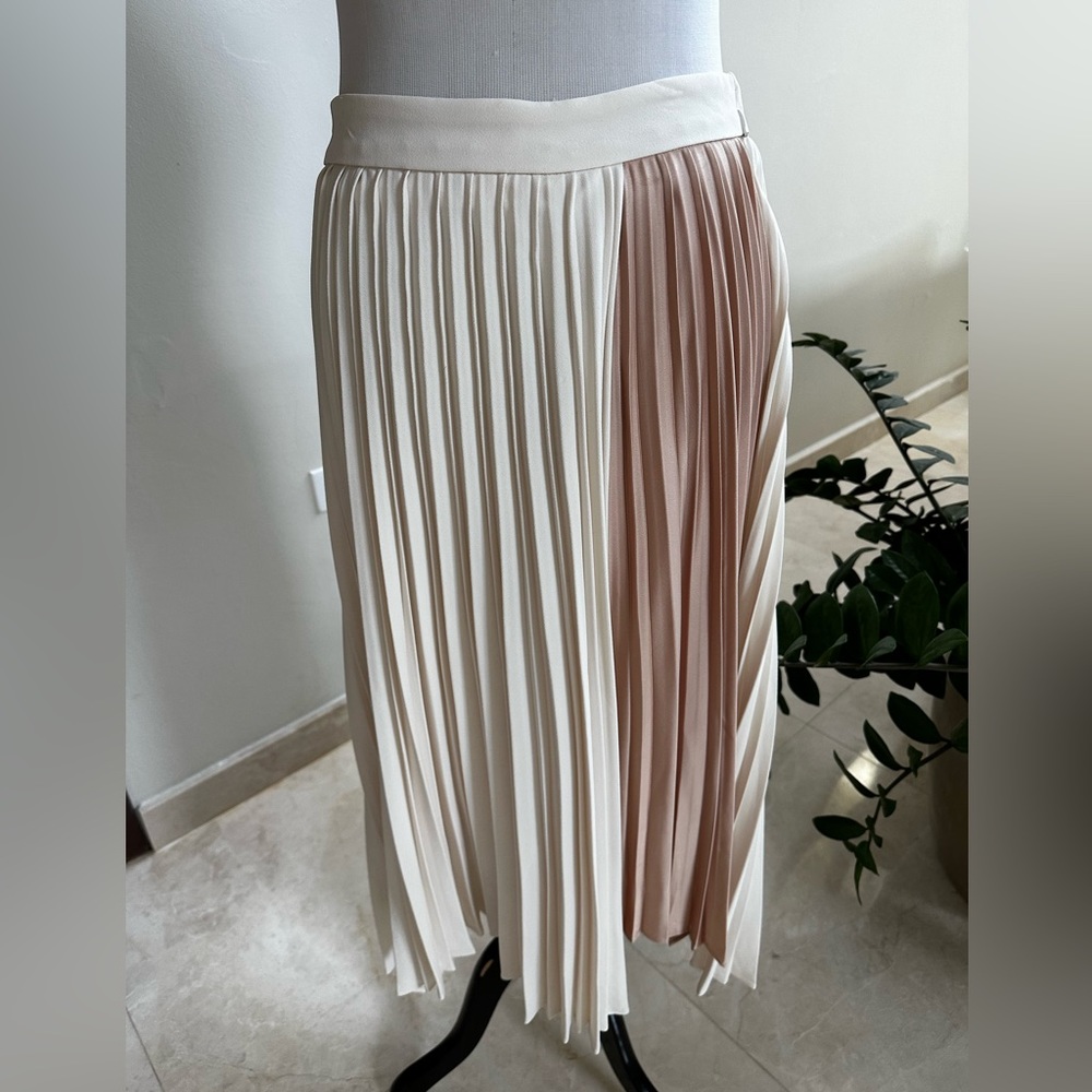 Express skirt Medium